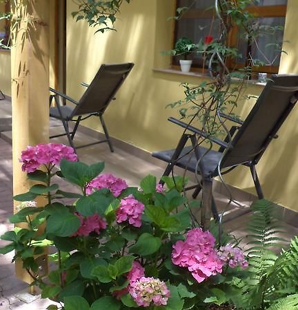 Oazis Apartman Эгер Экстерьер фото